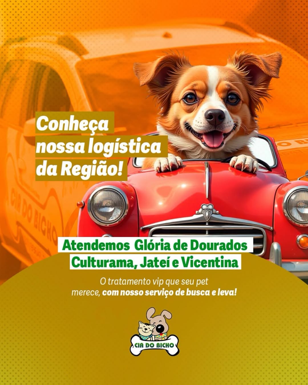 Serviço de logística da Cia do Bicho